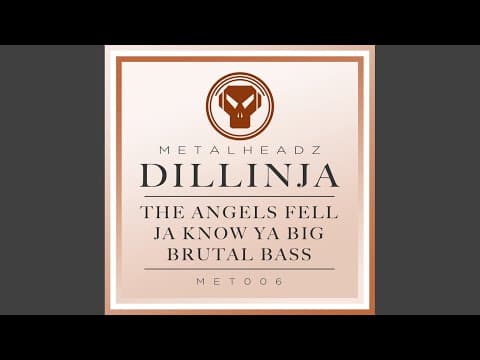 Dillinja - The Angels Fell